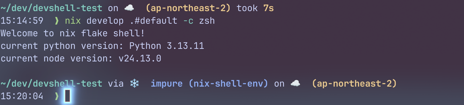 Nix with zsh